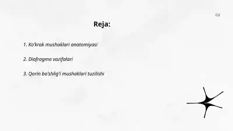 Koʻkrak mushaklari anatomiyasi 2