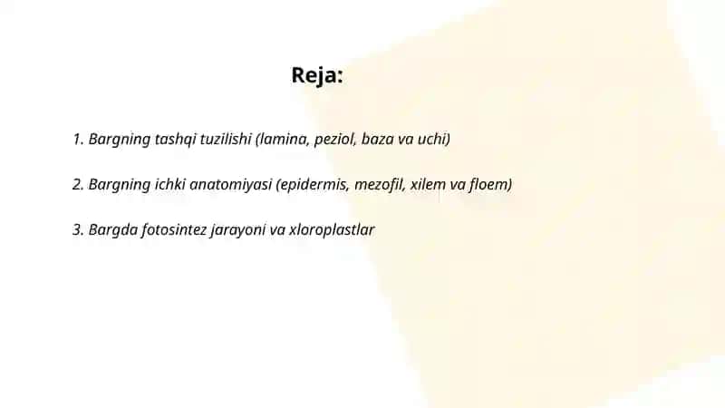 Barg 2