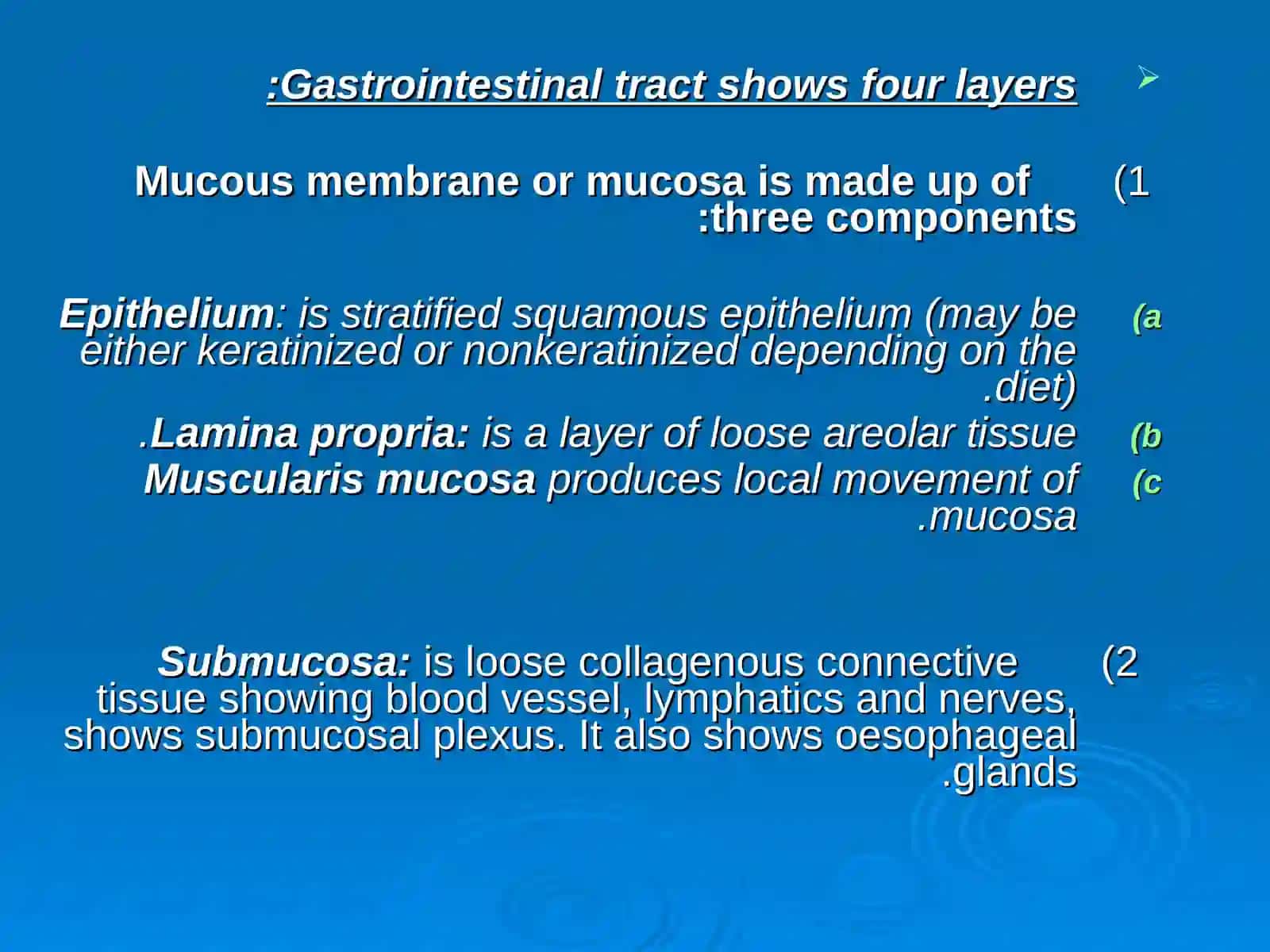 HISTOLOGY OF THE DIGESTIVE SYSTEM 2