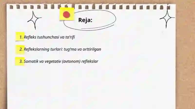 Reflekslar haqida tushuncha 2