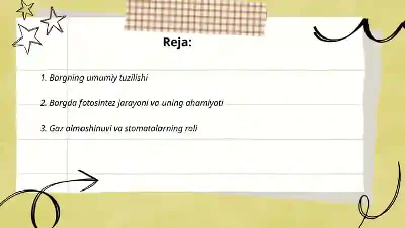 Barg va uning vazifalari 2