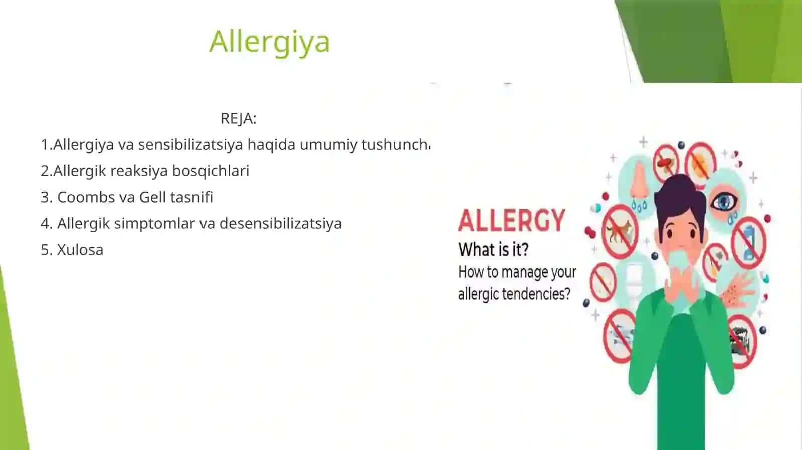 Allergiya 2