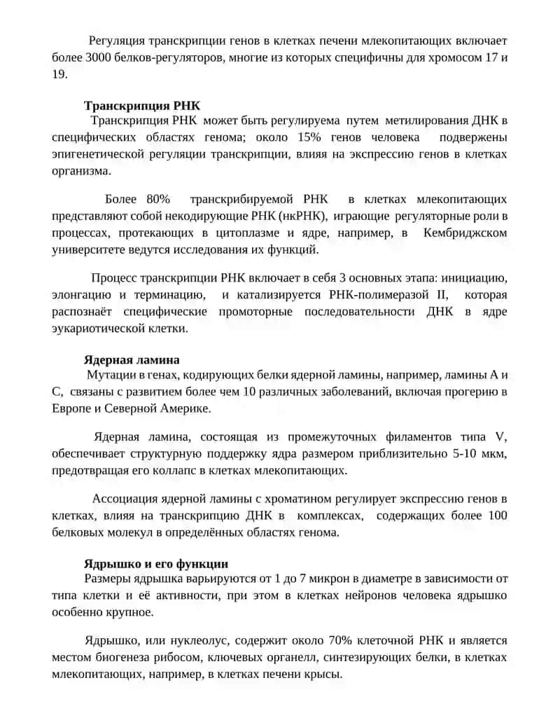 Ядро клетки 2