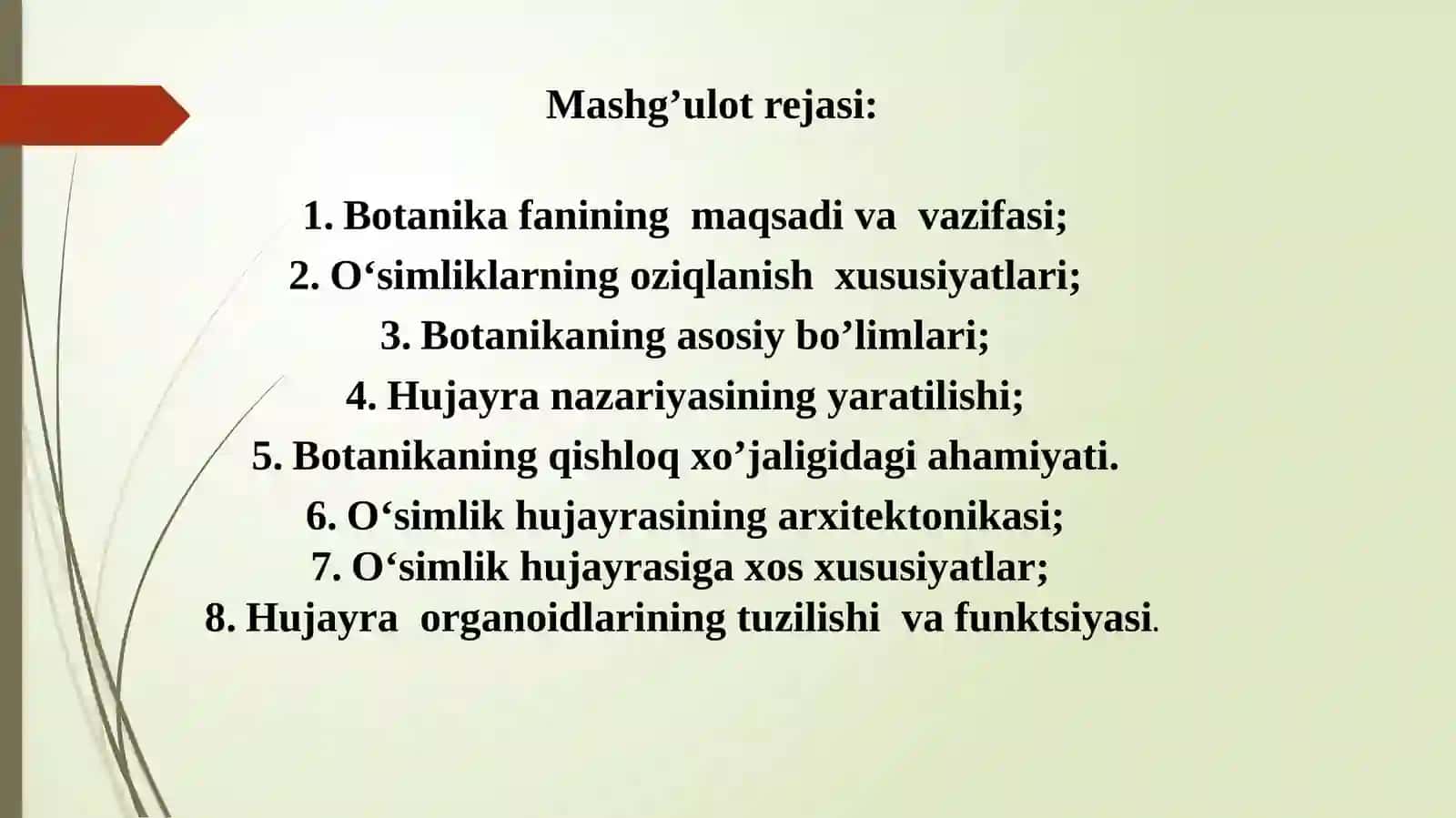 BOTANIKAFANIGA 2