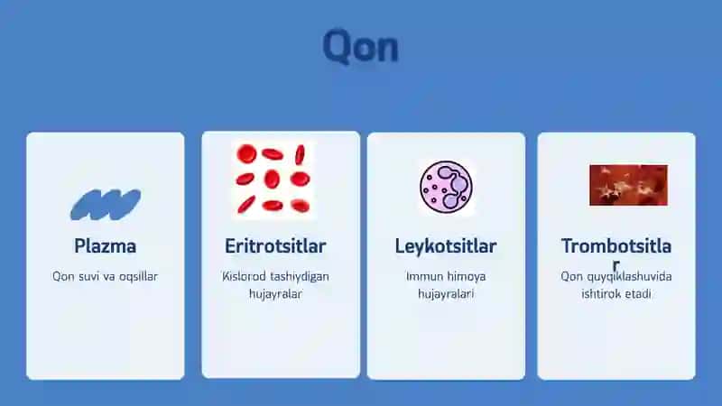 Gemoglobin va Leykotsitlar 2