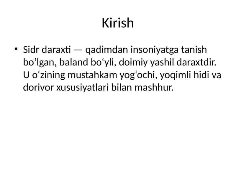 Sidr daraxti 2