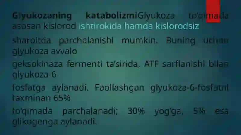 glukoza katabolizmi 2