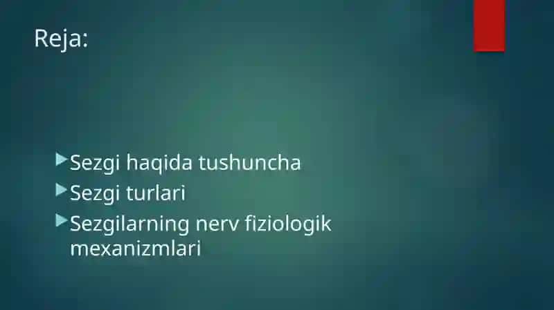 Sezgi 2