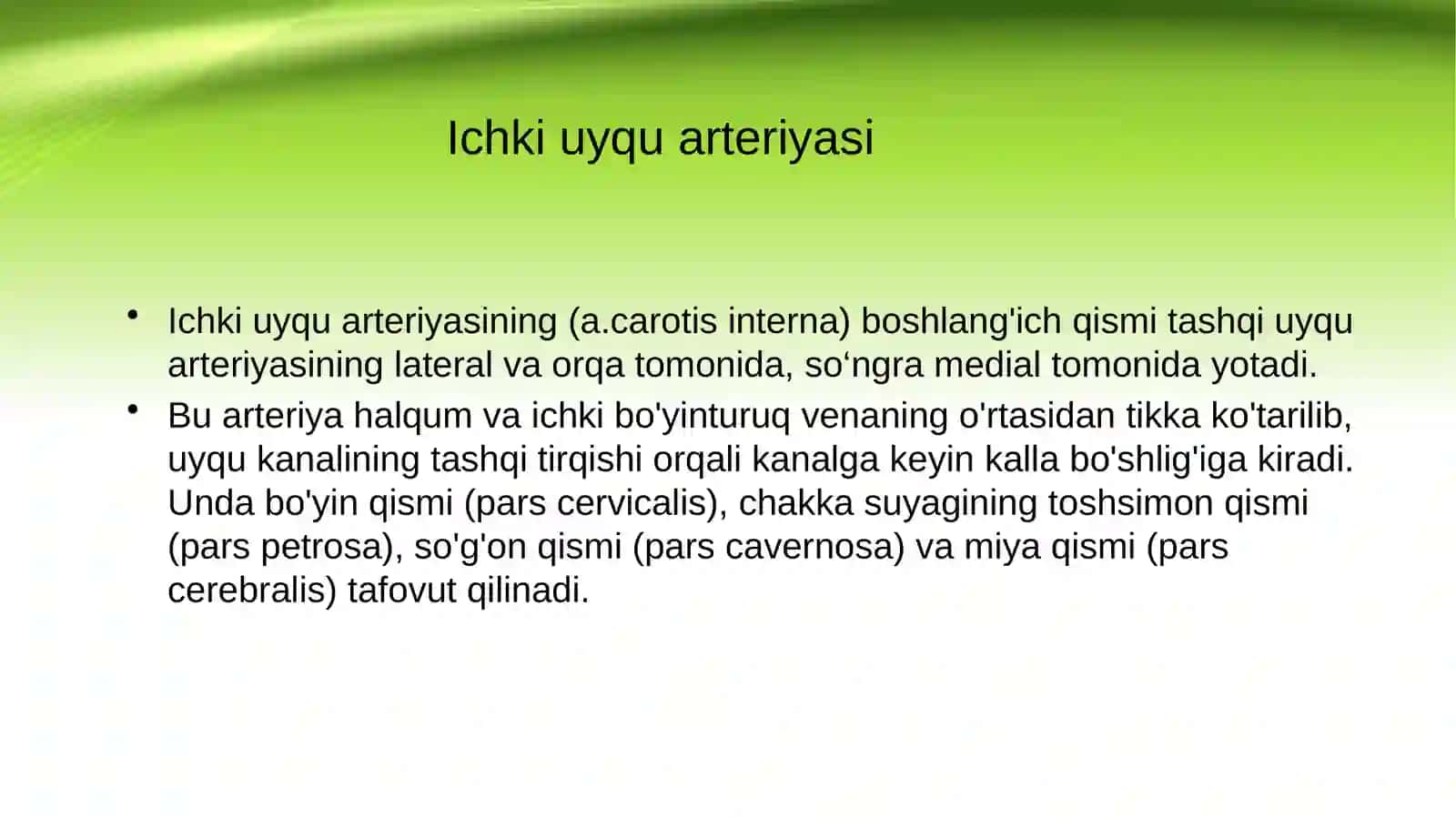 ICHKI UYQU ARTERIYASI 2