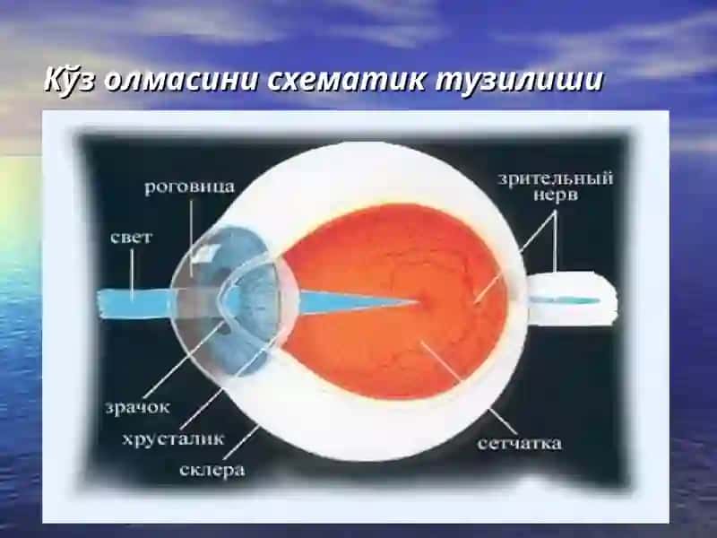 Кератитлар 2