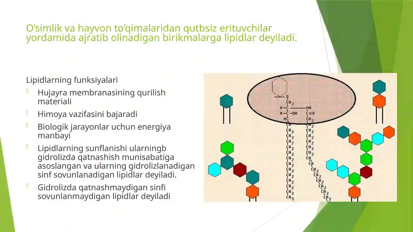 LIPIDLAR.SOVUNLANADIGAN LIPIDLAR 2