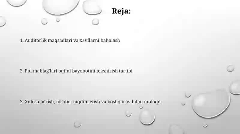 Pul oqimlari to‘g‘risidagi hisobot auditini o‘tkazish tartibi 2