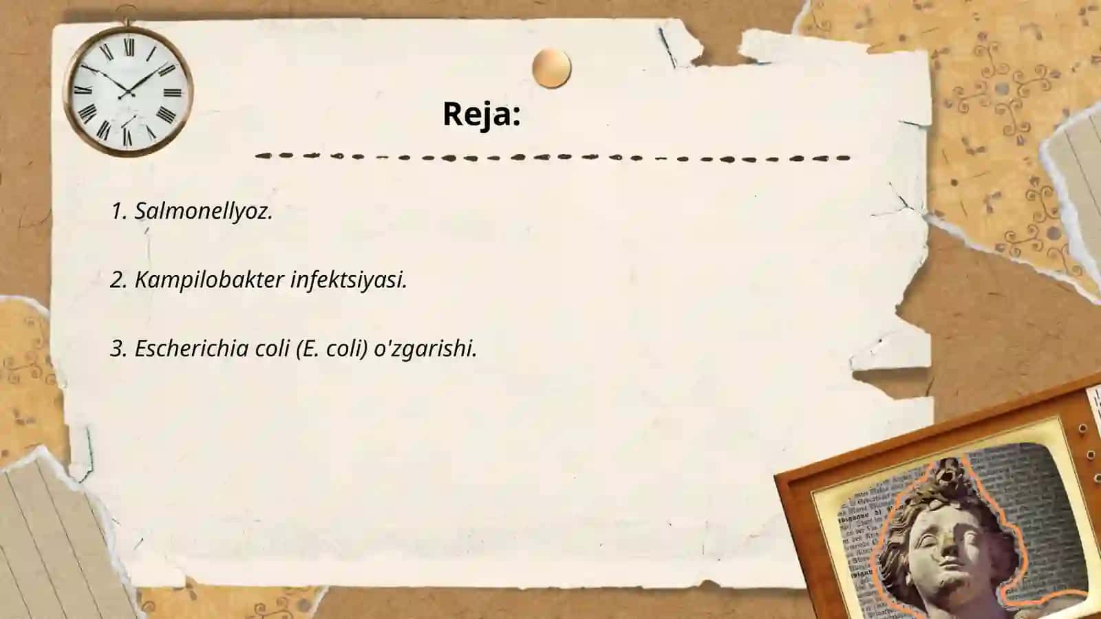 Salmonellyoz 2