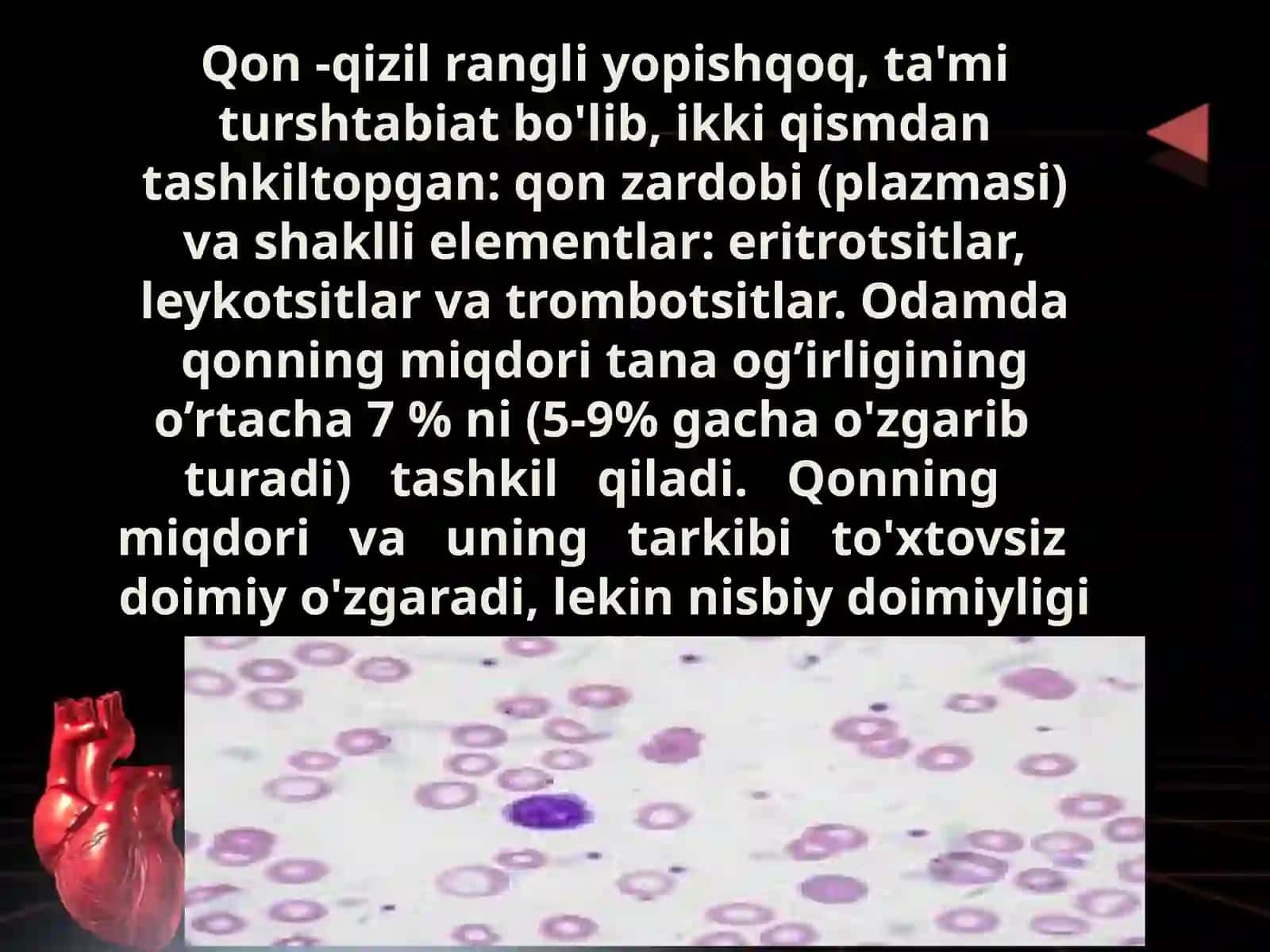 Qon 2