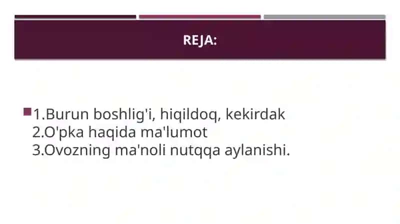 Nafas olish a’zolarining tuzilishi 2