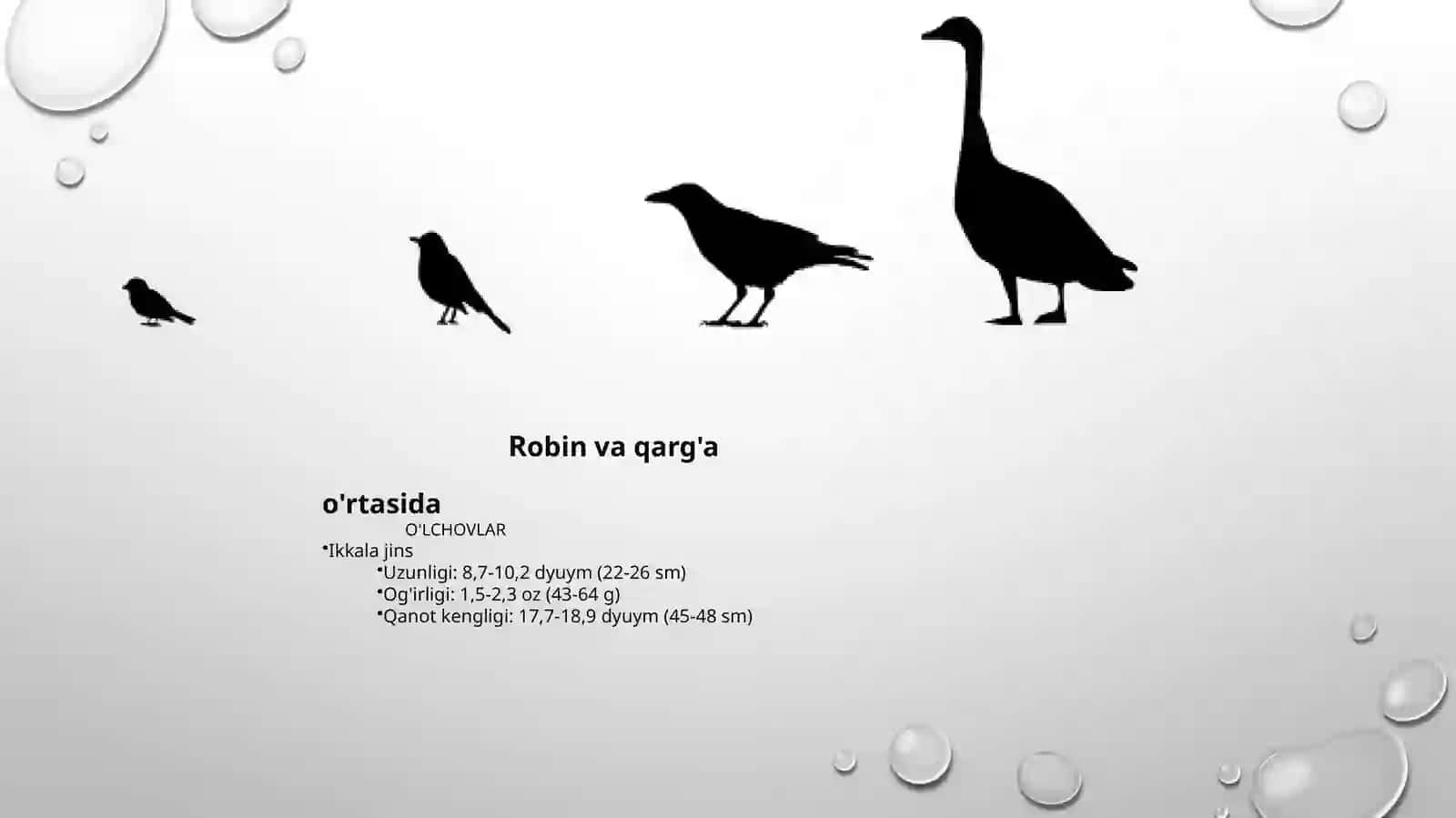 Bevaayol 2