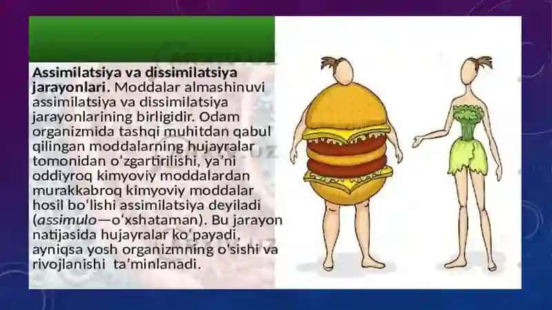 Moddalar almashinuvi 2