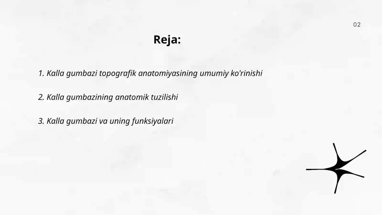 Kalla gumbazining topografik anatomiyasi 2