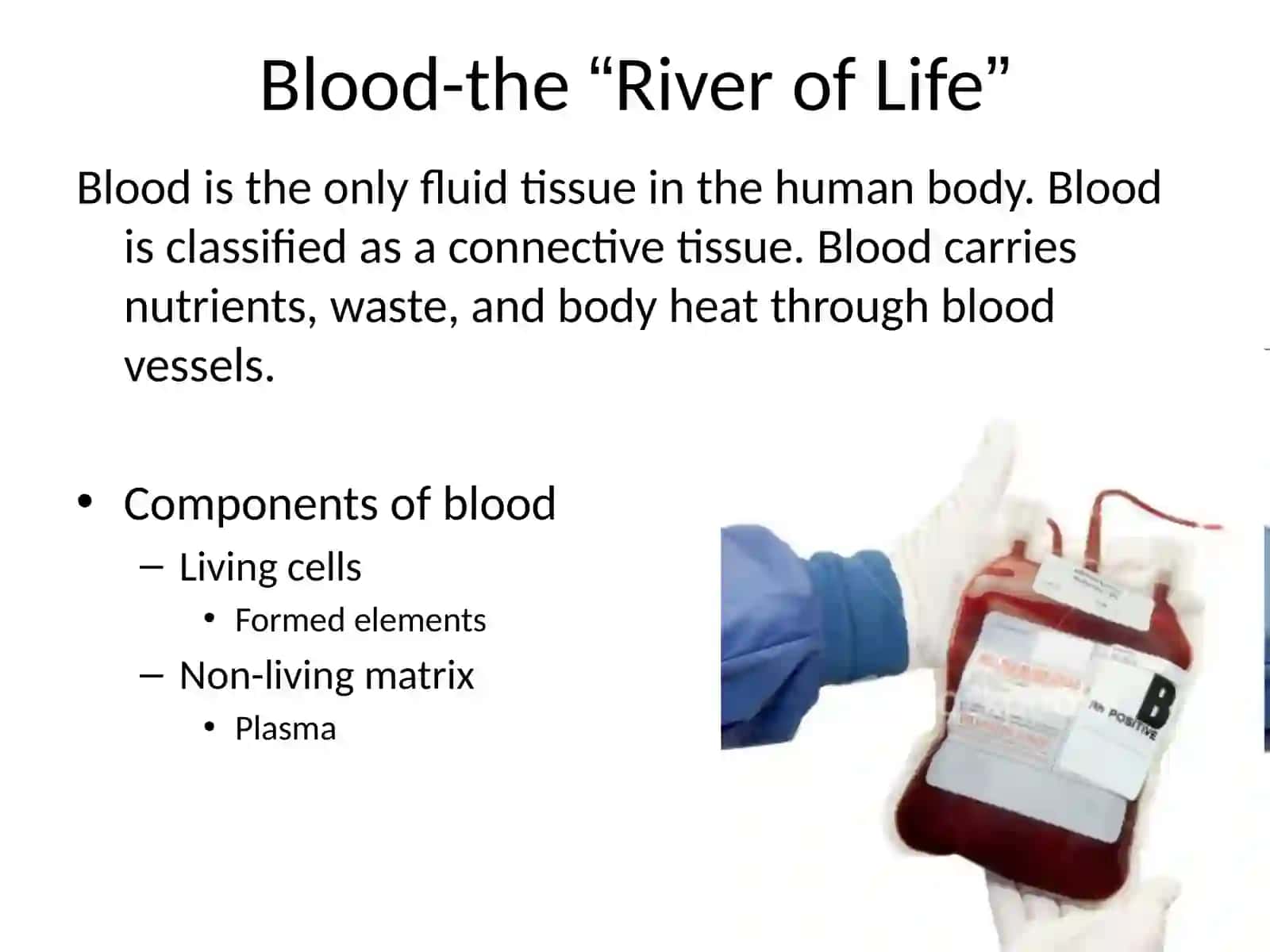 Blood 2