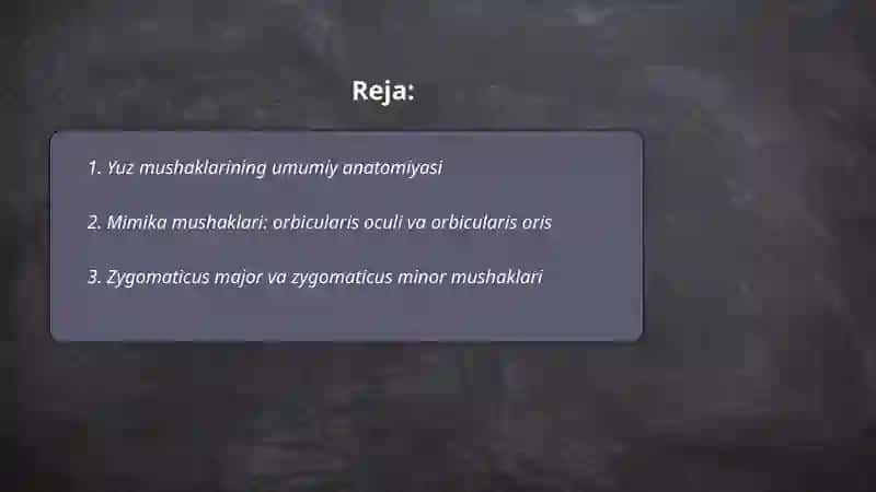 Yuz mushaklari 2