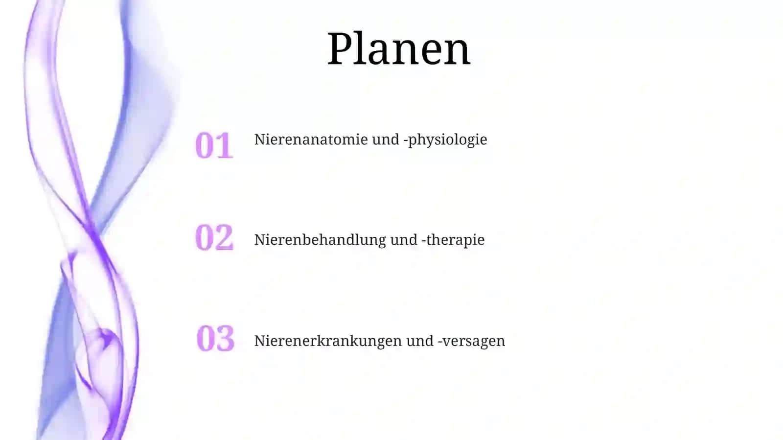 DieNieren 2