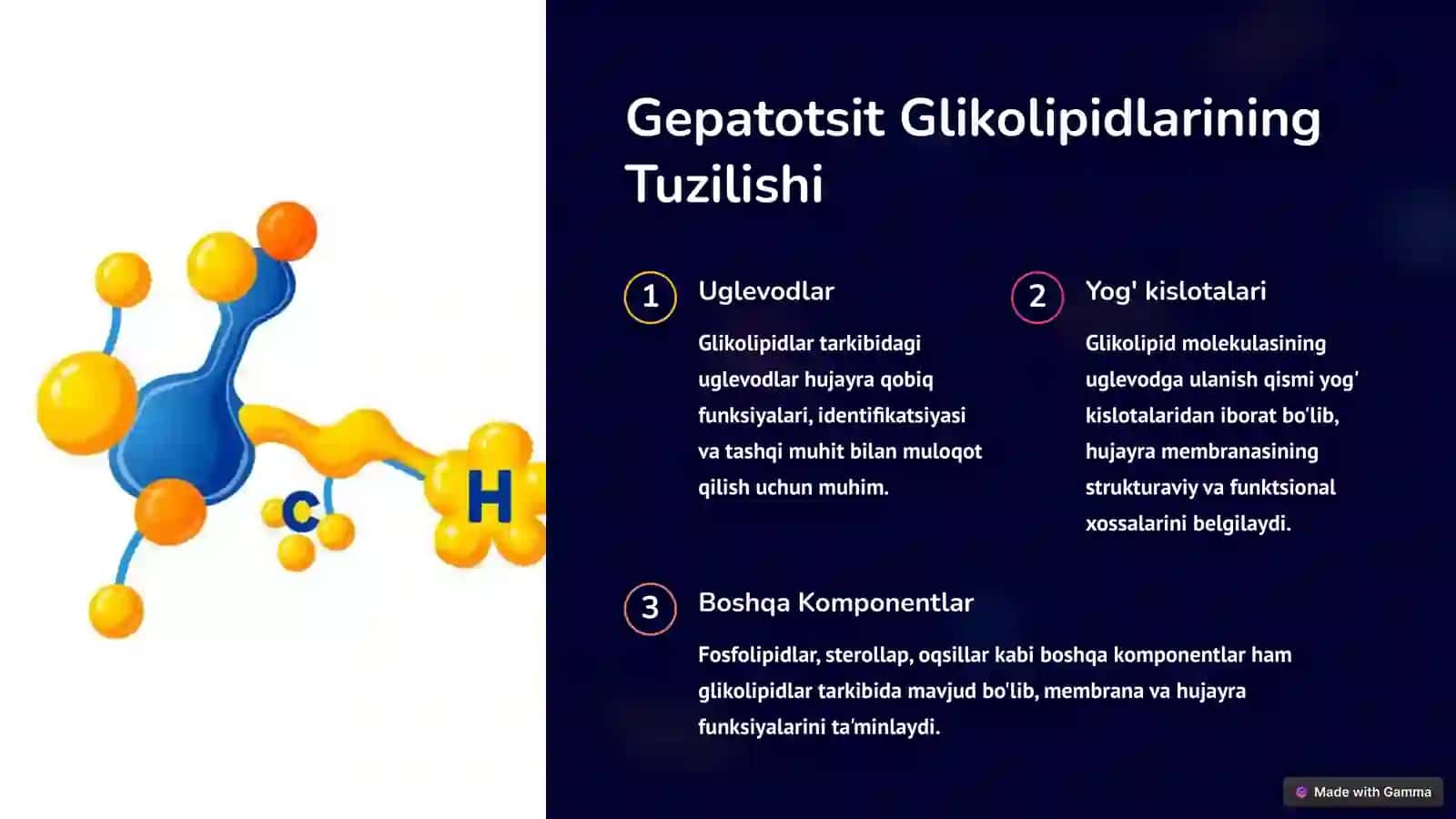 Gepatotsit Glikolipidlari 2