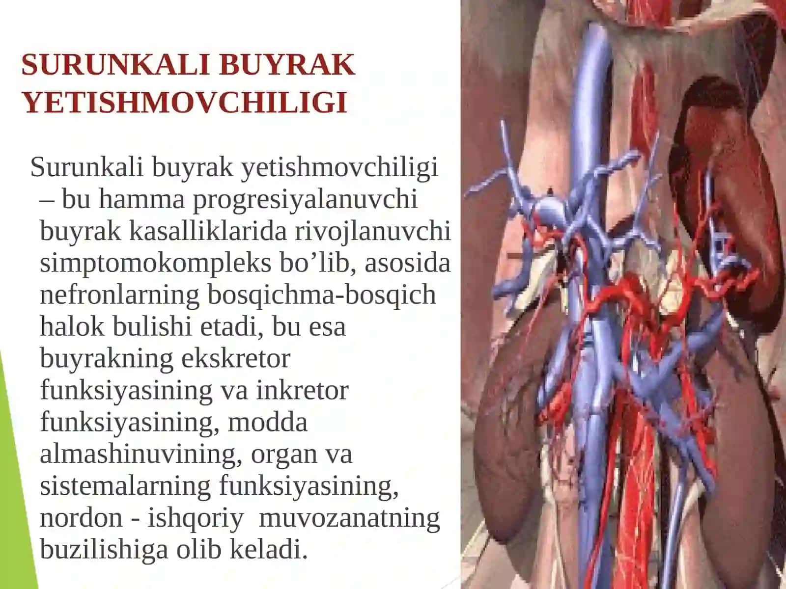 SURINKALI BUYRAK YETISHMOVCHILIGI 2