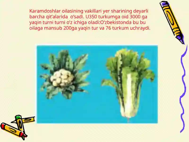 Karamdoshlar oilasi 2