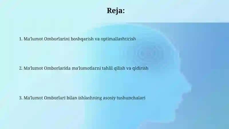 Ma'lumotlar omborida ishlash 2