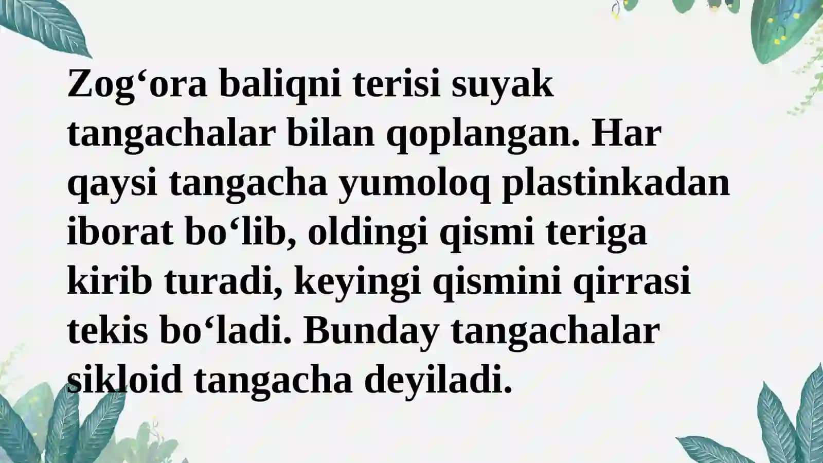 Suyaklibaliqlarning umumiy xususiyatlari 2