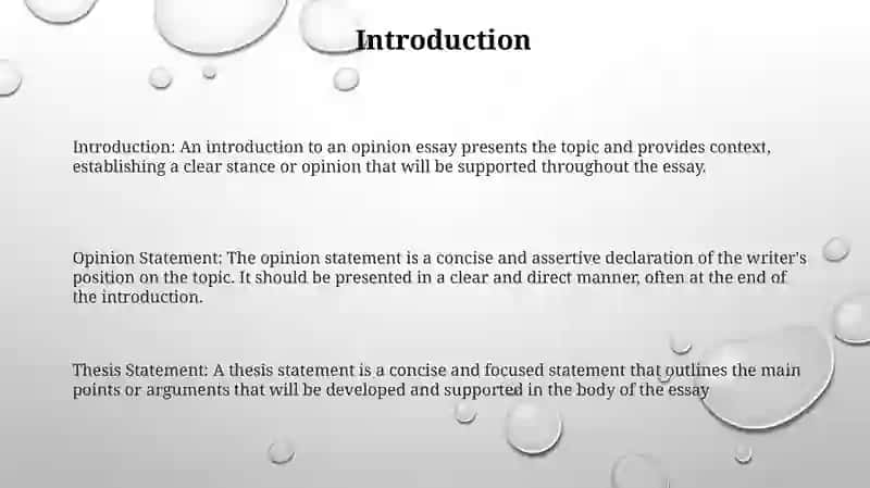 Opinion Essay 2