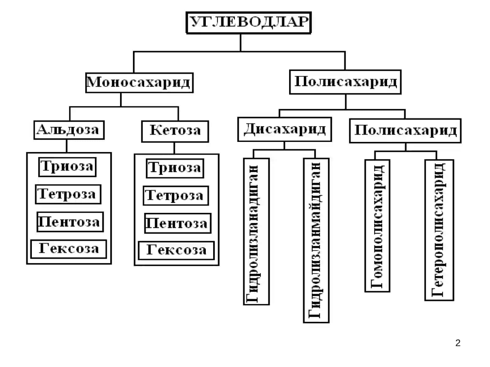 Углеводлар (Carbohydrates) 2