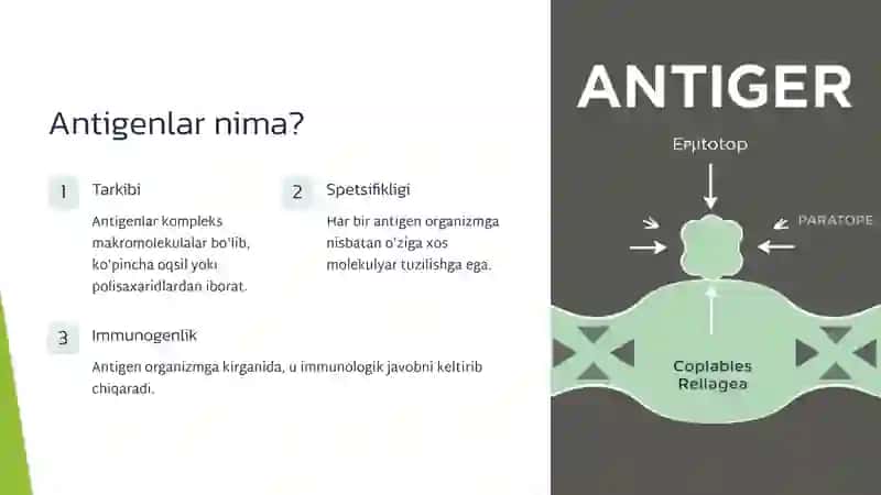 Antigenlar va ularning xususiyatlari 2