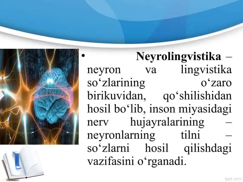 Neyrolingvistika 2