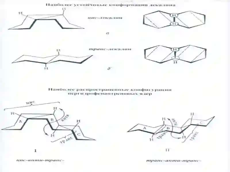 Sabunlanmaydigan lipidlar 2