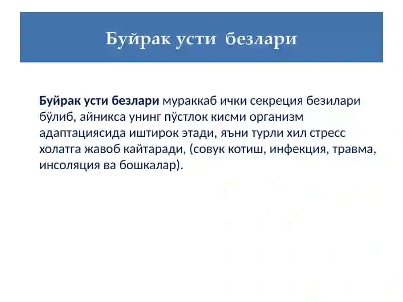 Буйрак усти безлари 2