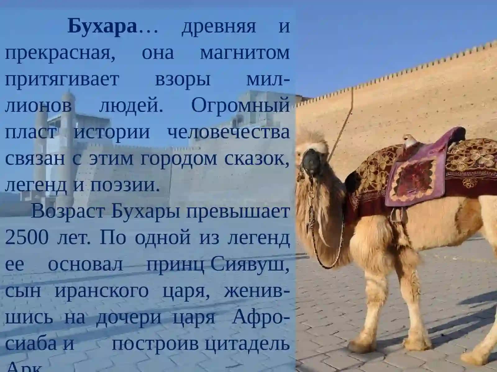 Бухара 2