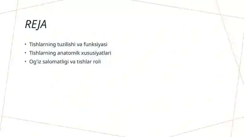 Tishlarning xususiy anatomiyasi 2