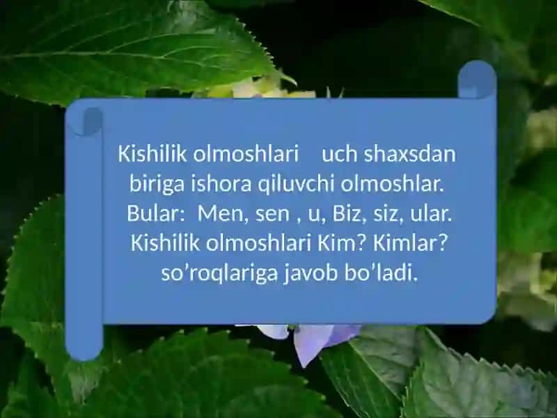 Kishilik Olmoshlari 2