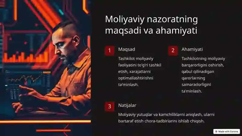 Moliyaviy nazorat 2