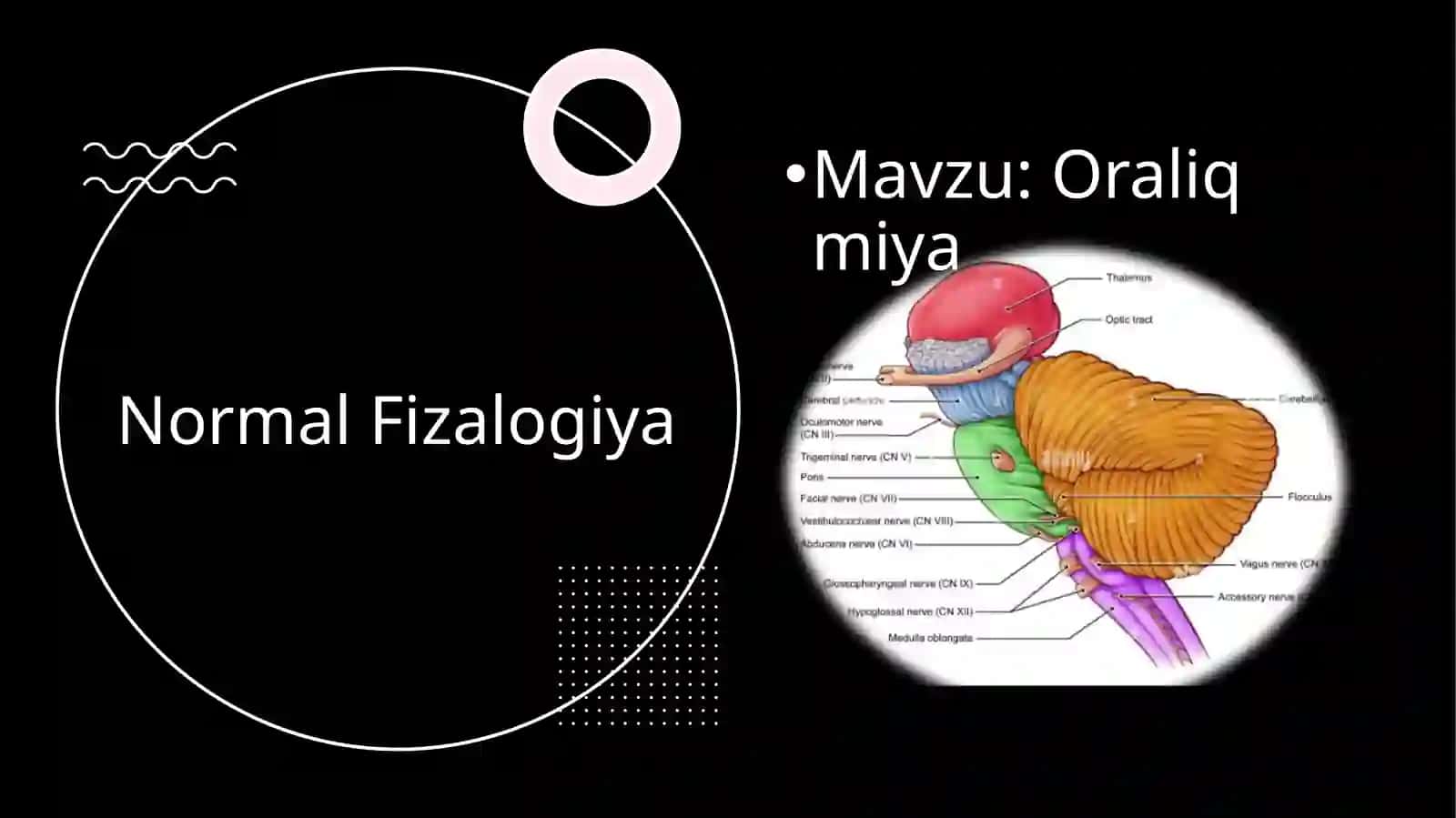 Oraliqmiya 2