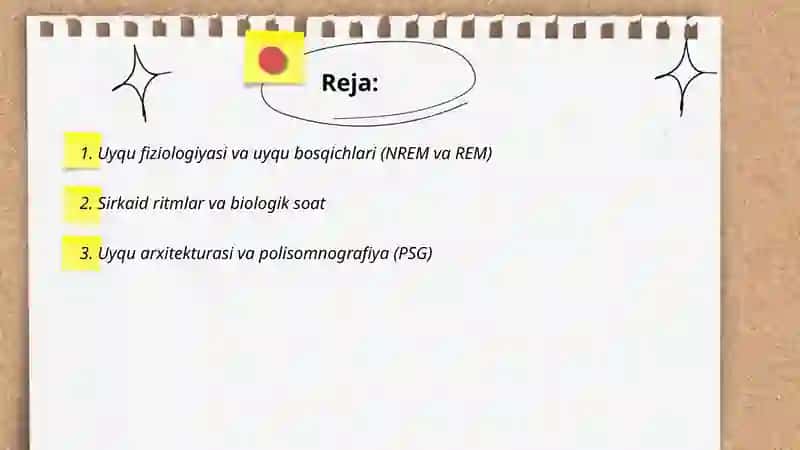 Somnologiya 2