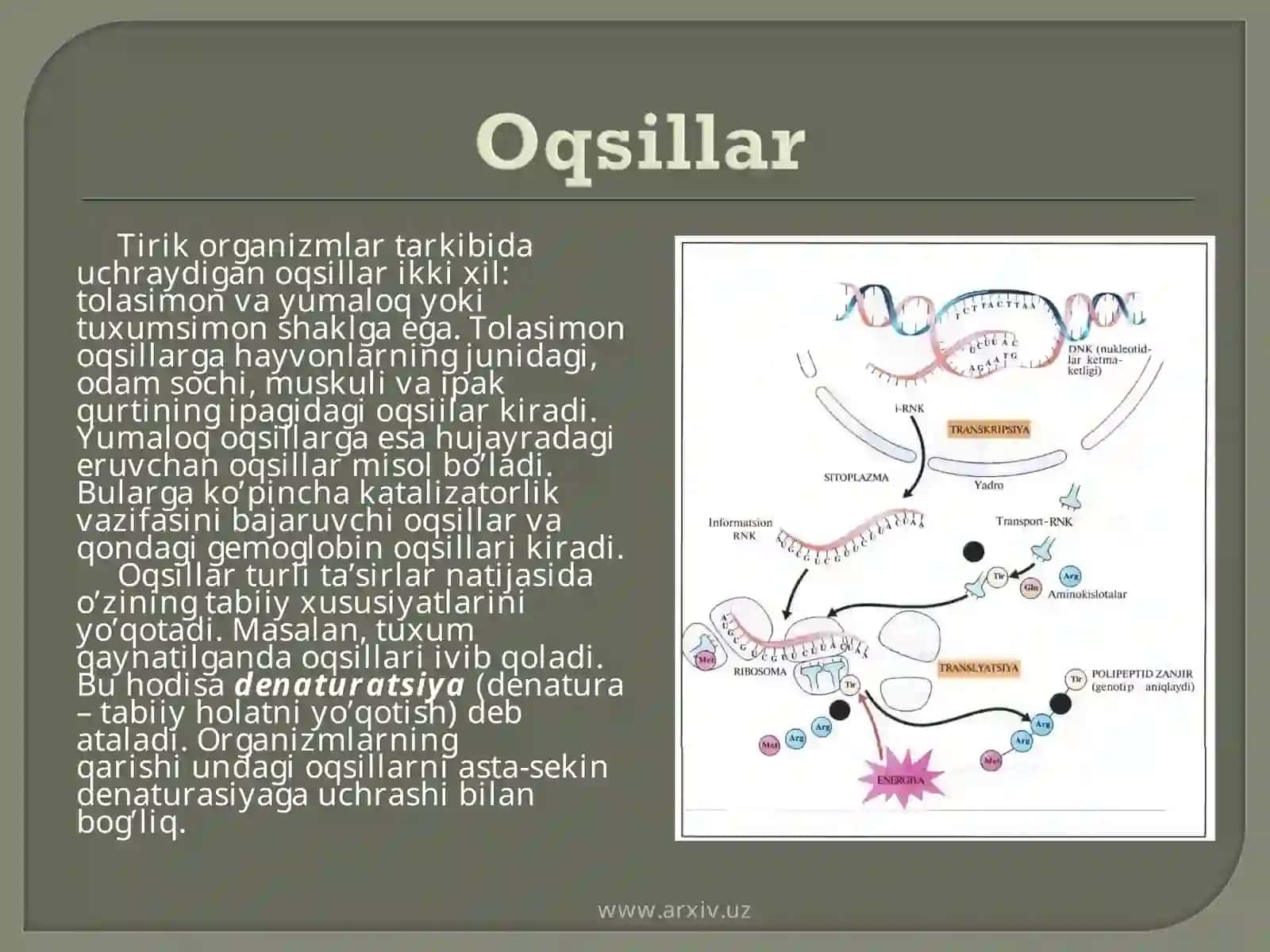 Oqsillar 2