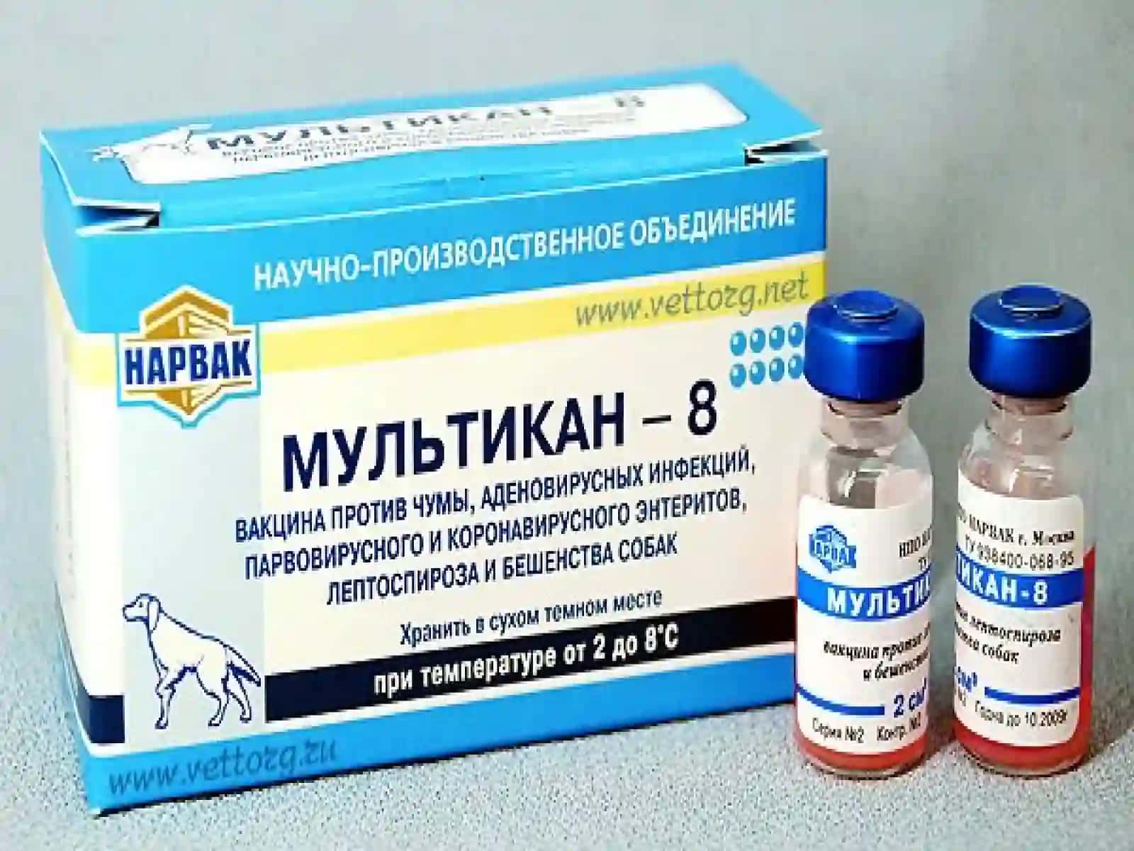 Ит тишлаши 2