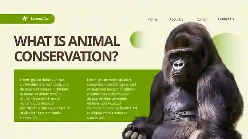 ANIMAL CONSERVATION 2