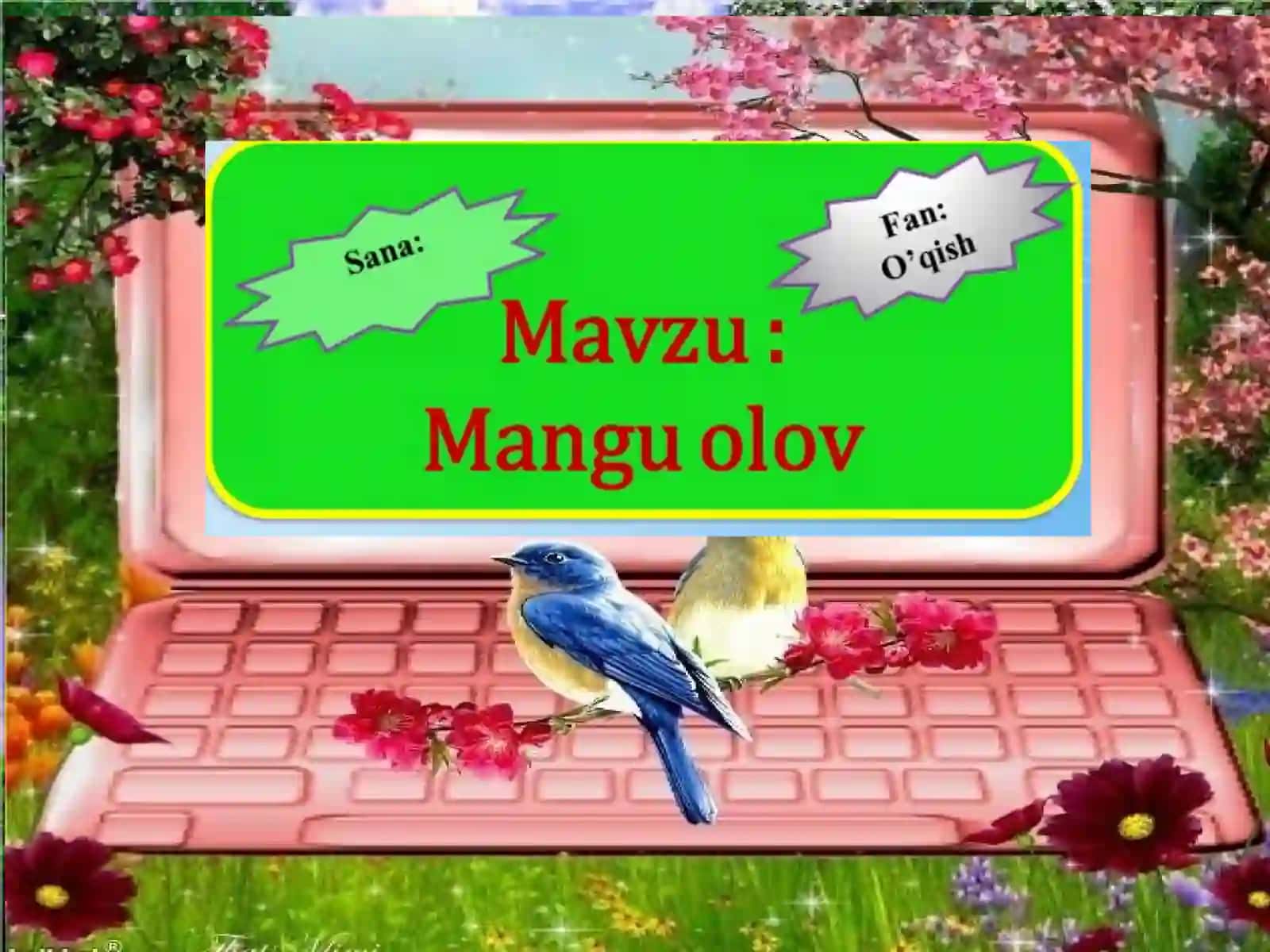 Mangu olov 2