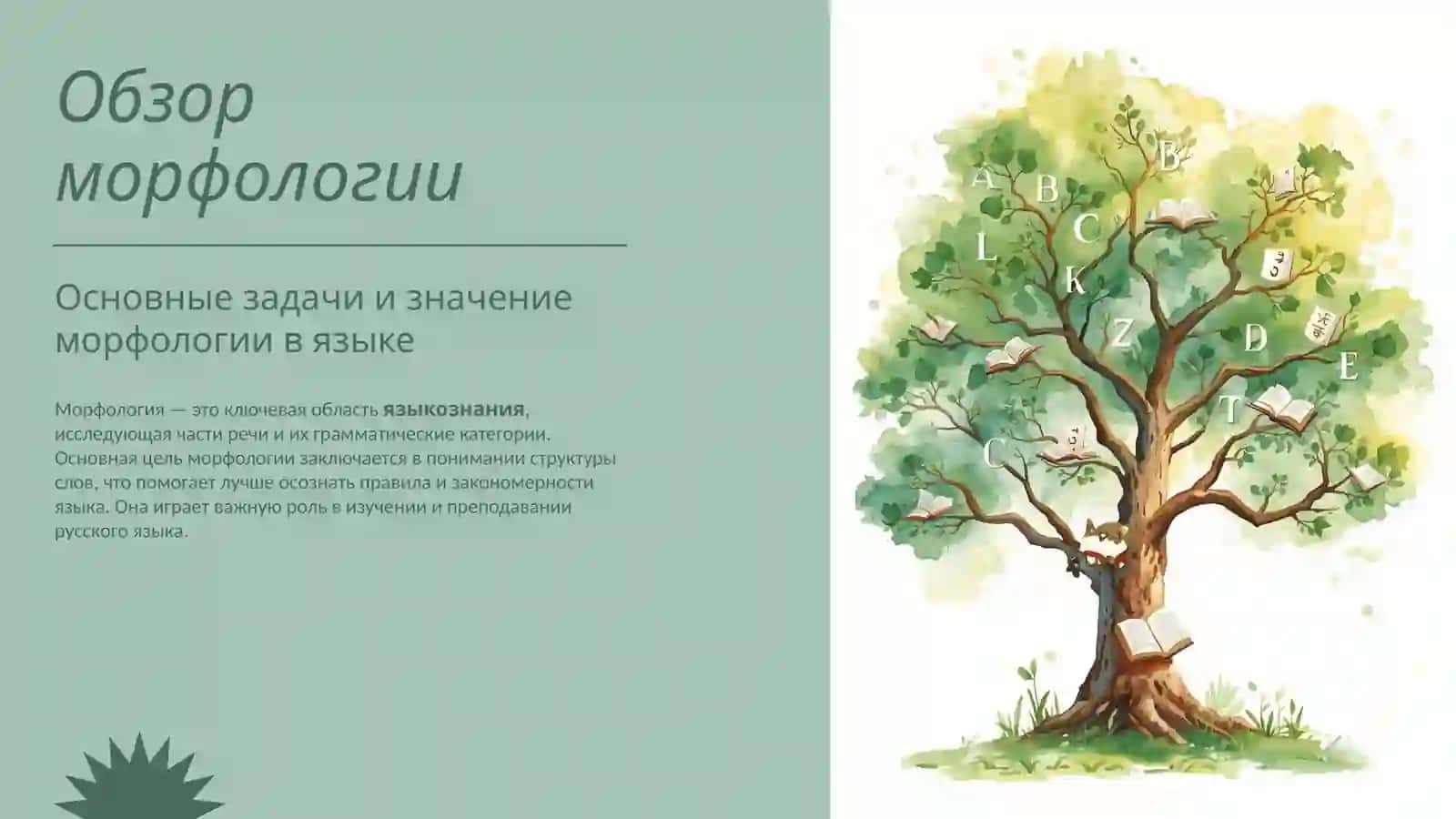 Морфология 2