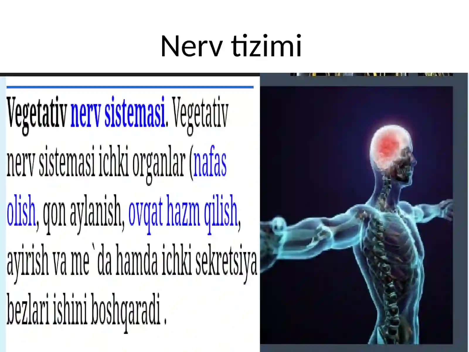 Vegetativ nerv sistemasining faoliyatini o'rganish 2