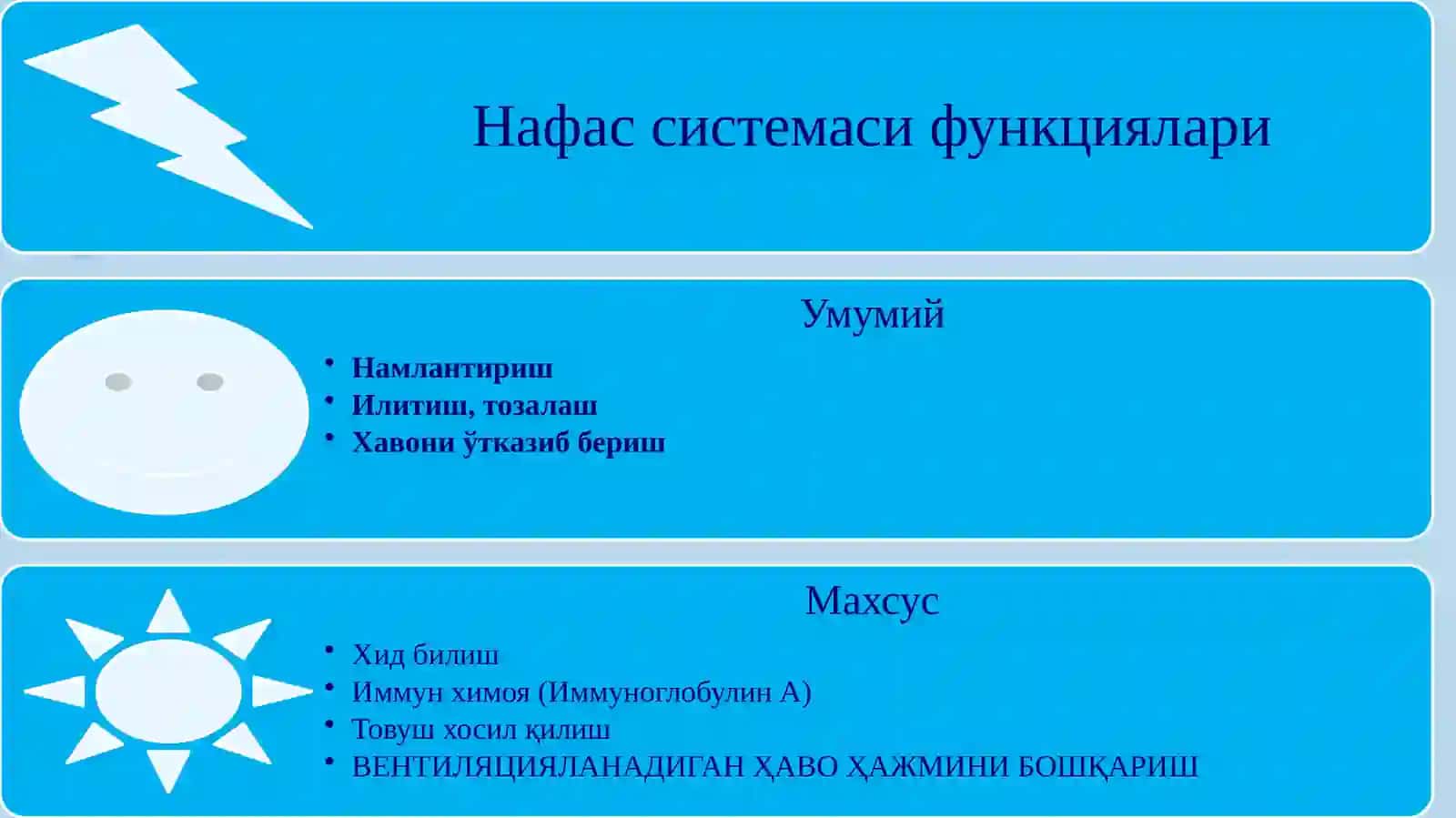 ЭМБРИОГЕНЕЗ 2