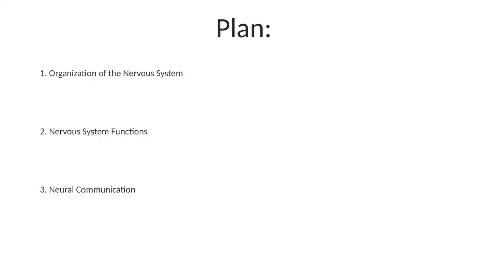 Nervus system 2